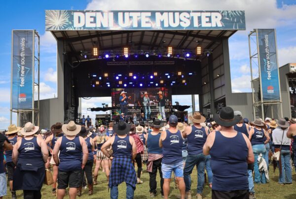 Festival LED Screens Cameras