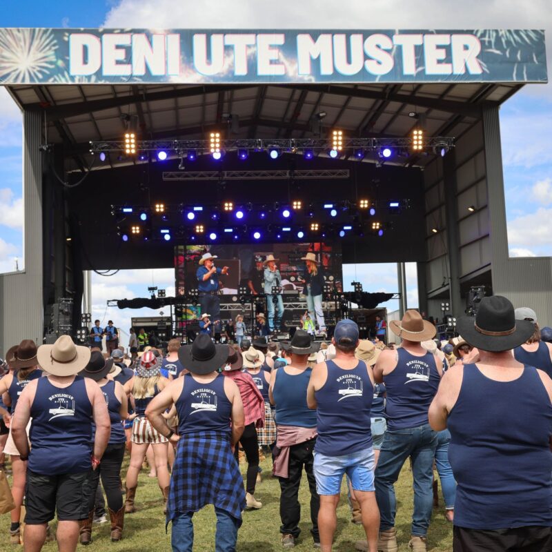 Festival LED Screens Cameras